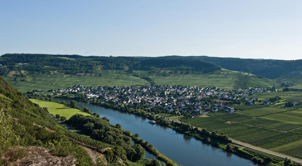 Weinhaus Kurtrierer Hof Otel Leiwen Oda fotoğraf
